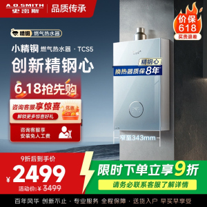 AO史密斯佳尼特[小精钢TCS5]13升精钢燃气热水器 国家补贴 JSQ26-TCS5 安全守护 持久恒温大水量