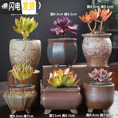 三维工匠粗陶老桩透气创意个性花盆陶瓷肉肉植物多肉花盆大号室内 器器组合6个 大花盆容器