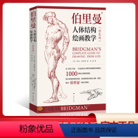 [正版]伯里曼人体结构绘画教学彩色版 高清还原图画稿版 人体结构造型手绘技法艺用人体构解剖人物模型素描速写临摹动漫美术