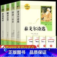 人教版 九年级上册全4册+赠考题册 [正版] 人教版泰戈尔诗选唐诗三百首世说新语聊斋志异书 原版原著初中生版 9九年