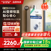 AO史密斯佳尼特13升燃气热水器佳尼特 不锈钢换热器8年包换 精控恒温 抗风防冻JSQ26-TC1