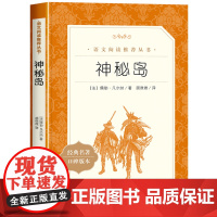 神秘岛原著正版初中生阅读超厚大书人民文学出版社 儒勒凡尔纳著 世界文学名著经典读物青少年书必读课外书课外阅读书籍