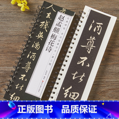 [正版]赵孟頫梅花诗 原大+放大 毛笔书法字帖 经典碑帖书法临摹字卡 近距离原大墨迹版附简体旁注 近距离临摹字卡 黑龙