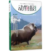 正版新书]动物报(苏)维·比安基 等 著;韦苇 编译;伍雨楠 绘 著作