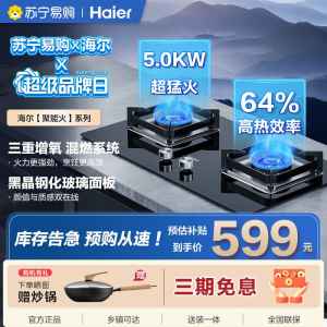 海尔Haier一级能效智能点火双眼燃气灶台嵌液化气燃气灶Q2BE6(20Y)