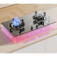 帅康(sacon)燃气灶JZY-3B605 液化气
