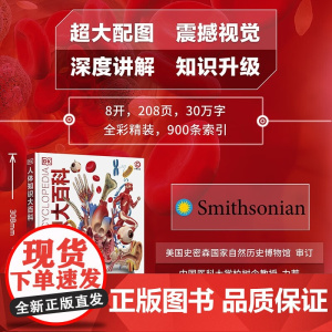 DK人体知识大百科 6-14岁 英国DK公司 著 科普百科