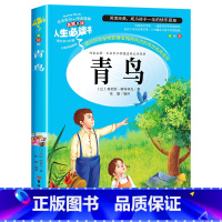青鸟(选3本26元) [正版]绿野仙踪三年级必读的课外书原著 小学生阅读课外书籍四至五六年级上下册老师完整版 适合学生看