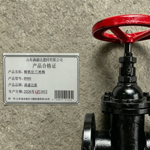 满盛达建 铸铁法兰闸阀 个