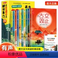 [全10册]藏在古文观止里的那些事儿 [正版]藏在古文观止里的那些事儿全套10册古文观止小学生版儿童版小古文观止启蒙思维