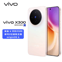 ]vivo X300 幸运彩 16GB+1TB 蓝晶×天玑9500芯 大电池 90W快充 支持无线充电 蔡司超级潜望长焦 拍照 AI手机