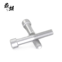 蔚期 GB70.1达克罗内六角圆柱头螺钉 M10*110半牙 个