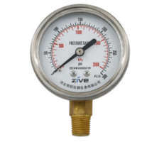ZIVE 压力表ZIVE-1306465
