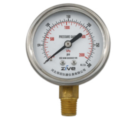 ZIVE 压力表ZIVE-1306465