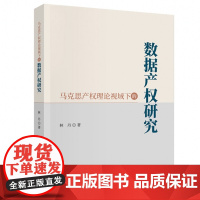 马克思产权理论视域下的数据产权研究 林丹 著 9787521866889 经济科学出版社