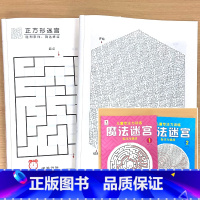 魔法迷宫 2册 [正版]小学生专注力训练6岁以上 6-7-8-9-10岁 一年级二提高提升孩子的注意力儿童书籍 视觉 听