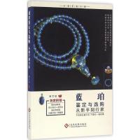 正版新书]蓝珀鉴定与选购从新手到行家商文斌9787514213256