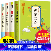 [全4册]快乐读书吧二年级下册必读 [正版]全套5册 神笔马良二年级必读注音版快乐读书吧下册七色花愿望的实现一起长大的玩