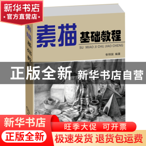 正版 素描基础教程 张恒国 化学工业 9787122081872 书籍