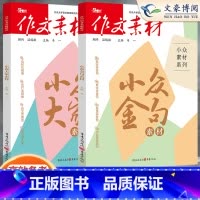 大时代中国力量 收藏加购优先发货 [正版]2023作文素材高考版高中语文小众金句新高考小众素材新知大家情理新版时文精粹阅
