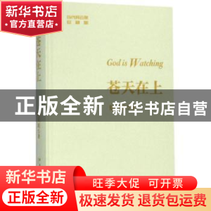 正版 苍天在上 陆天明著 新星出版社 9787513330886 书籍