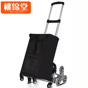 桃锦堂爬楼车