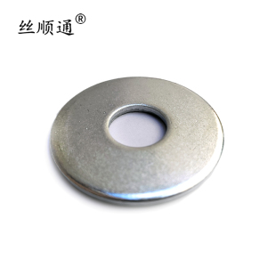 丝顺通 大平垫 Φ16(17*50*3)/个