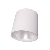 照立方 CHAOLEEFONG LED明装筒灯 ZLF-2506-730 50W 个