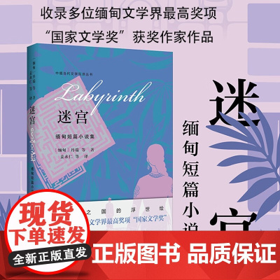 迷宫 缅甸短篇小说集 丹瑞 等 著 小说