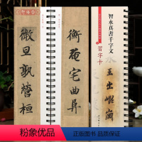 [正版]学海轩 智永真书千字文 近距离临摹字卡 彩色放大本中国著名碑帖习字卡 繁体旁注智永楷书毛笔书法字帖上海辞书出版