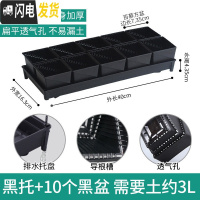 三维工匠控根多肉花盆套装组合塑料创意个性简约透气北欧风 [新款加厚盆]+[排水黑托]+10个黑盆(7.35cm盆花盆容器
