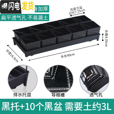 三维工匠控根多肉花盆套装组合塑料创意个性简约透气北欧风 [新款加厚盆]+[排水黑托]+10个黑盆(7.35cm盆花盆容器