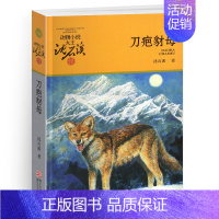 刀疤豺母 [正版]黑熊舞蹈家沈石溪小学四年级五年级全集全套书浙江少年儿童出版社版完整版动物小说大王品藏书系生课外阅读适用