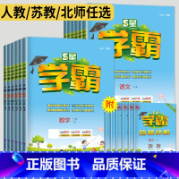 学霸提优大试卷 数学 人教版 二年级下 [正版]2024五星学霸二年级上册三年级上四五年级六年级下册数学语文英语