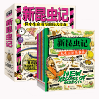 正版新书]新昆虫记(全9册)常凌小9787559666222