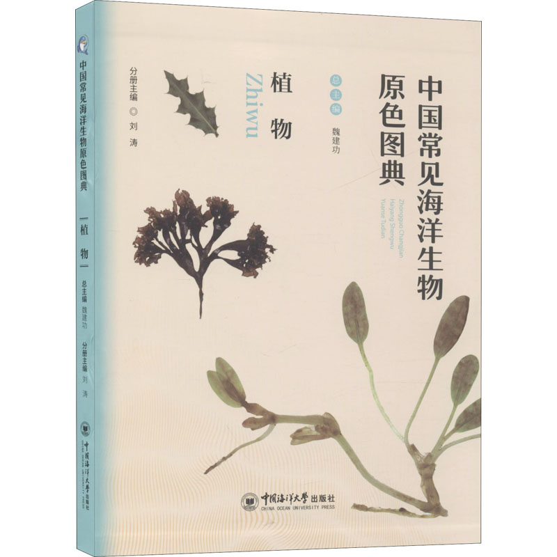 醉染图书中国常见海洋生物原色图典 植物9787567017047