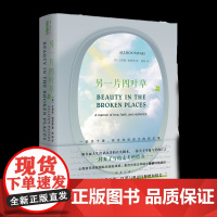 另一片四叶草——一部关于爱、信念和抗逆力的回忆录艾莉森·帕塔基西南大学出版社9787569714494社会科学/心理学
