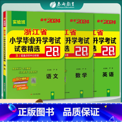 语数英3本套装 小学升初中 [正版]备考2024年浙江省小升初真题卷语文数学英语套装2023年浙江小学毕业升学考试真题试