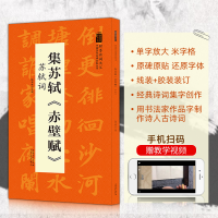 正版新书]集苏轼《赤壁赋》苏轼词陆有珠 著9787539893075