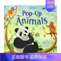 [正版]预 售动物Animals 3-6岁儿童趣味翻翻立体绘本书 英文原版 早教启蒙读物睡前故事书籍进口