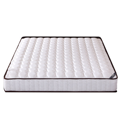 臻远 ZY-RML-H09201 乳胶床垫 弹簧床垫 100*200*23CM(单位:张) 白色