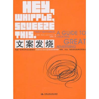 正版新书]文案发烧(美)路克·苏立文(Luke Sullivan)著9787300130