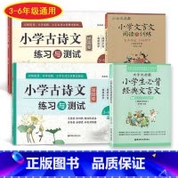 [正版]全4册 小学古诗文练习与测试 基础卷提高卷+小古文启蒙+文言文启蒙 4本套装 3-6年级适用 华东理工大学出版社