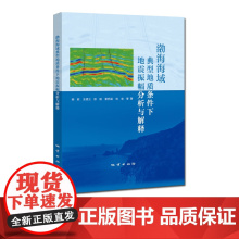 书自营]渤海海域典型地质条件下地震振幅分析与解释