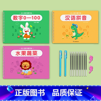 数字+拼音+画画 [正版]数字练字帖幼儿园凹槽字帖控笔训练儿童练习入门描红本中班大班每日一练学前班练字本初学者写字学字反