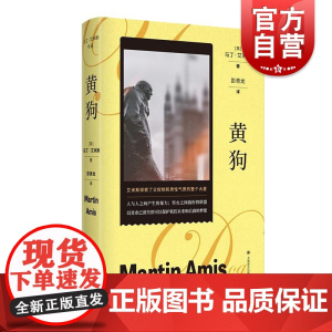 黄狗 马丁艾米斯作品英马丁艾米斯上海译文出版社父权制多线叙事王室秘闻英国文学外国文学马丁·艾米斯男性气质小说