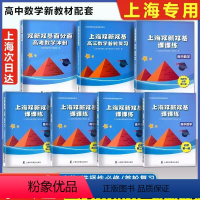 必修第一册+第二册+第三册 高中通用 [正版]2024版 上海双新双基课课练高中数学必修1必修2必修3第一二三册选择性必