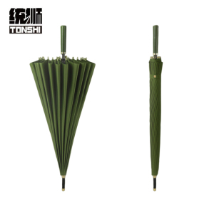 统狮雨伞P65 把