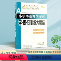 [字词句训练大集结] 小学六年级 [正版]小学毕业升学夺冠字词句训练大集结 68所名校小升初汉字词语句子字词句综合测试卷