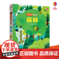 尤斯伯恩偷偷看里面第三辑森林0-3岁洞洞书小手抠洞洞猜猜里面是什么揭秘系列翻翻书森林四季立体书早教书宝宝书籍情景认知图画